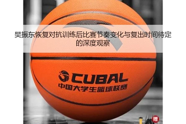 樊振东恢复对抗训练后比赛节奏变化与复出时间待定的深度观察