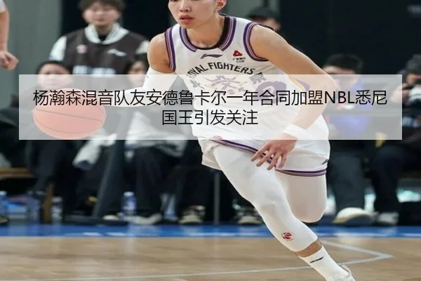 杨瀚森混音队友安德鲁卡尔一年合同加盟NBL悉尼国王引发关注